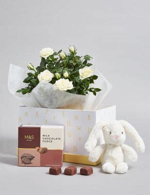 Hop the latest hampers and gifts at m&s. Luxury Hampers & Gifts | For Him & Her | M&S