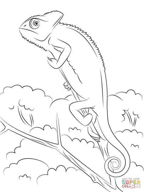 Check spelling or type a new query. Chameleon Outline Drawing at GetDrawings | Free download