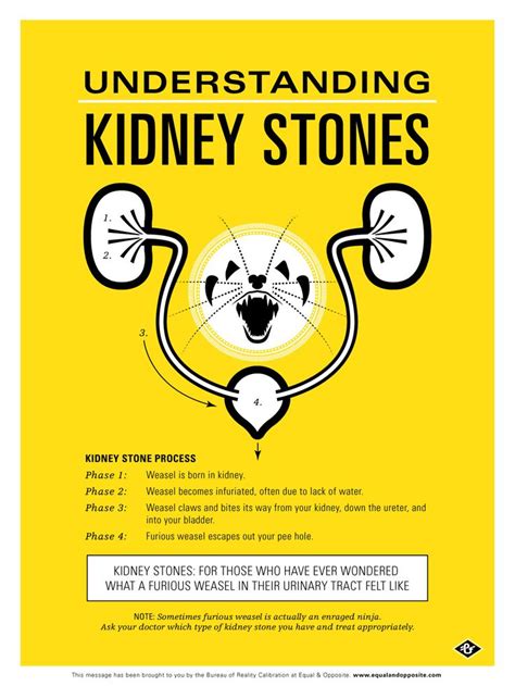 800 x 963 jpeg 115 кб. 19 best Kidney Stone Humor images on Pinterest | Kidney ...