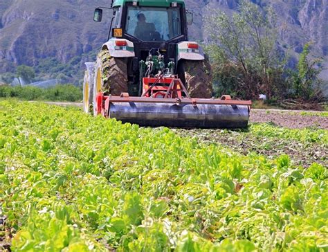Regione Abruzzo Ed Agricoltura Ecco I Primi Due Bandi Per I Prodotti