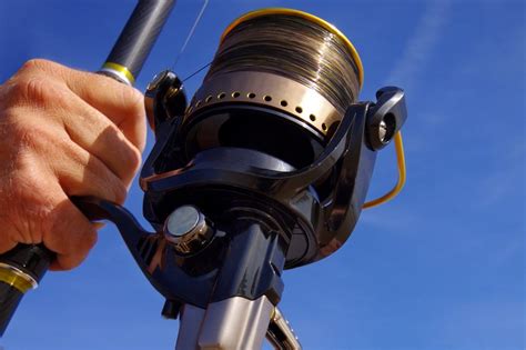 Fishing Reel Types 101 A Beginner S Guide To Reels 2023