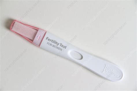 Fertility Test Stock Image F0314313 Science Photo Library