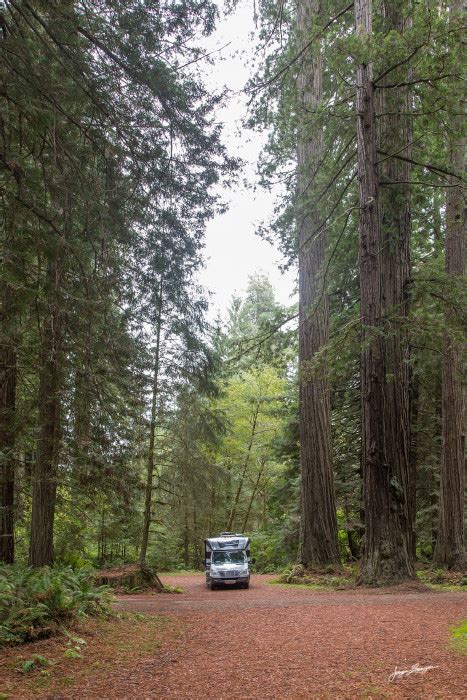 Redwood national park rv campgrounds. Prairie Creek Redwoods State Park - Elk Prairie Campground ...