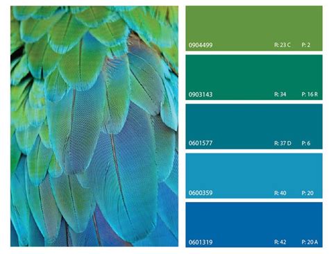Learn which colors are its perfect partners. color schemes | color | Pinterest