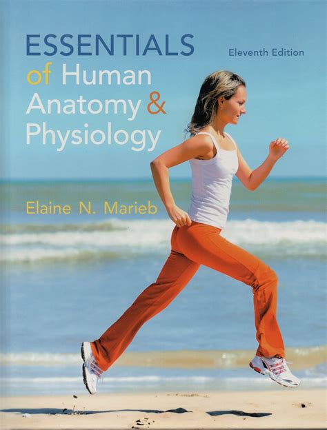 Essentials Of Human Anatomy And Physiology 11th Edition By Elaine N