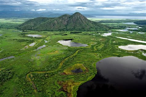 Brazils Best Kept Secret The Pantanal
