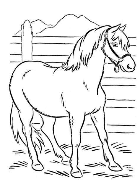 Konji Bojanke Za Printanje Sketch Coloring Page