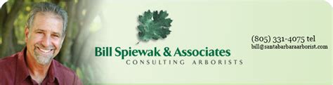 Top keywords % of search traffic. Santa Barbara Arborist Bill Spiewak and Associates ...