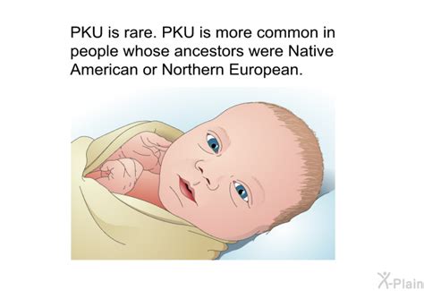 Phenylketonuria Or Pku