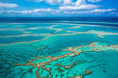 Los Arrecifes De Coral Más Grandes Y Magníficos