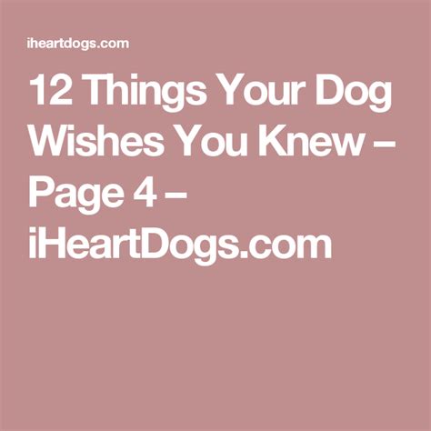 30 Things Your Dog Wishes You Knew Dogs Dog Parents