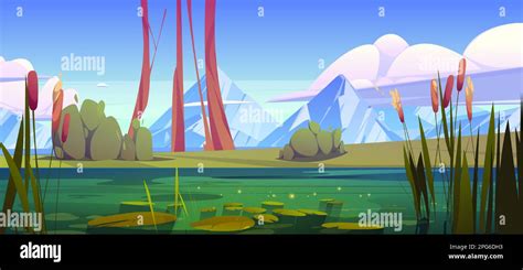 Green Swamp And Cattail Near Lake Mountain Skyline Vector Background