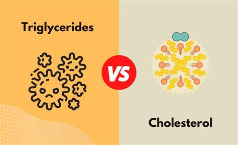 Triglycerides Vs Cholesterol Whats The Difference With Table