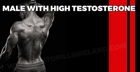 How Testosterone Affects Men Testosterone Function