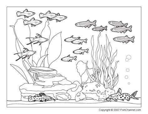 tank coloring pages    print