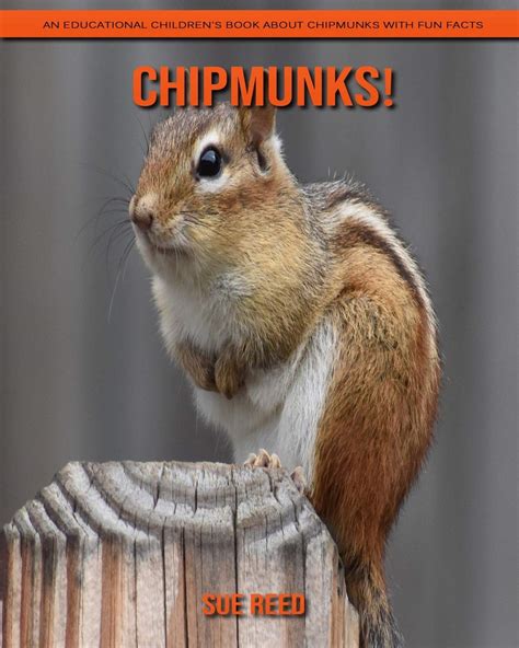 Chipmunks An Educational Childrens Book About Chipmunks With Fun