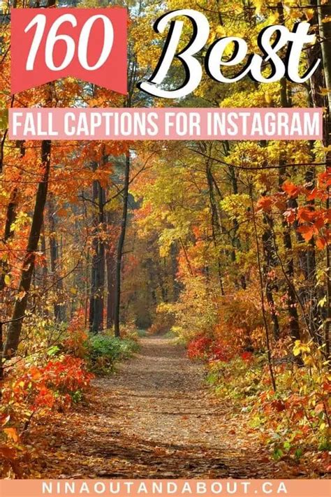 160 Best Fall Captions For Instagram Nina Out And About Fall Season