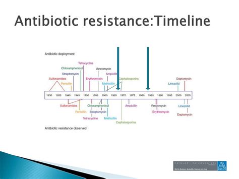 Ppt Oxa And Relevant Superbugs Powerpoint Presentation Free Download Id