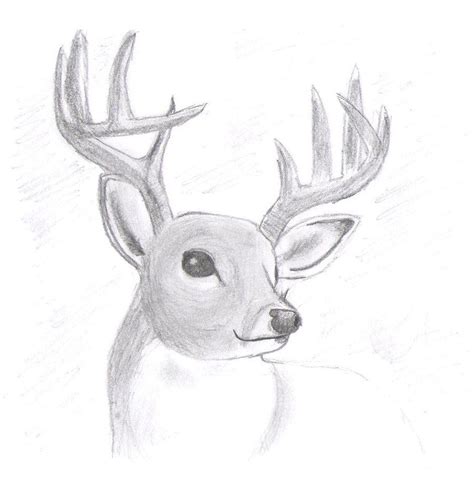 Easy Animals To Draw Realistically Step By Step Easy Drawing Step