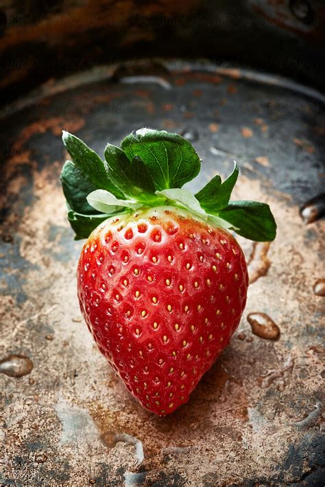 Strawberry by James Ross - Fruit, Strawberry