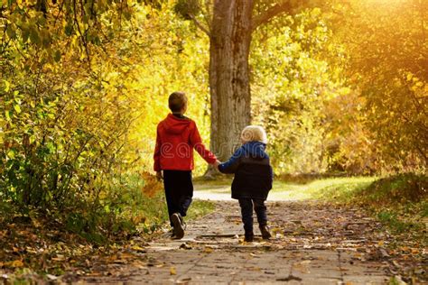 Two Boys Walking In The Autumn Park Sunny Day Stock Image Image Of