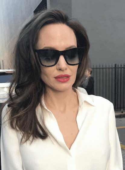 Angelina Jolie Sunglasses Mykita Alexandra Daddario Angelina Jolie Old Hollywood Square