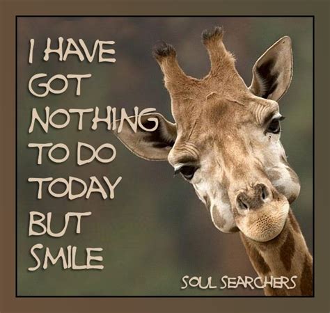 Pin By Robin Sgroi On Motivating Words Giraffe Pictures Giraffe