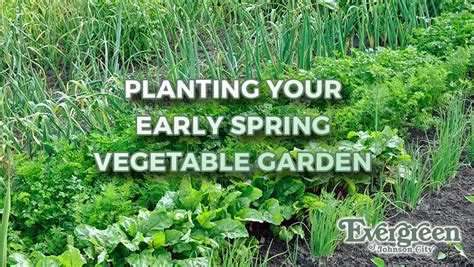 Planting Your Early Spring Vegetable Garden Evergreen Of Johnson City Tn