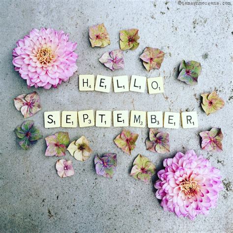 Well hello September, how lovely to see you…! | Floral flatlay, Hello september, Hello september ...