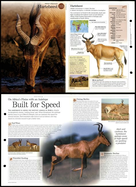 Hartebeest 105 Mammals Discovering Wildlife Fact File Fold Out Card