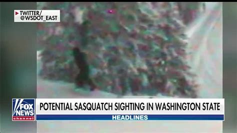 Bigfoot Spotted On Washington State Department Of Transportation Webcam