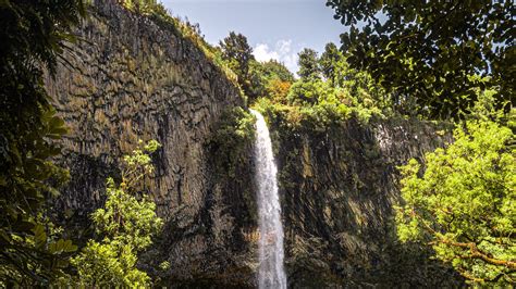Download Wallpaper 2560x1440 Waterfall Cliff Trees Vegetation