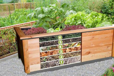 How To Layer Raised Beds