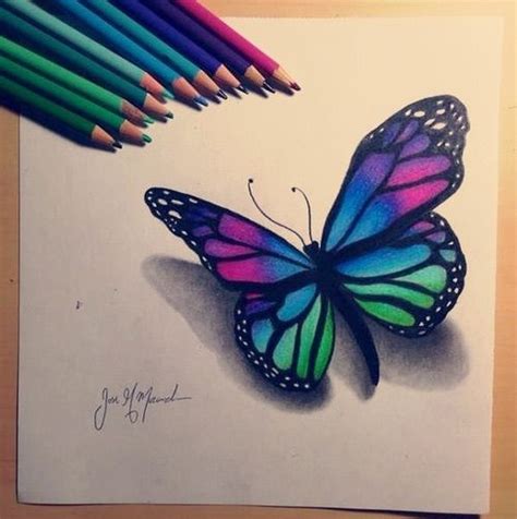 Butterfly Drawing Butterfly Drawing Colorful Butterfly Drawing