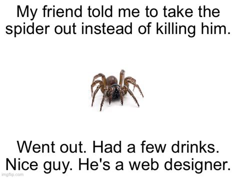 Misunderstood Spider Spider Meme Spiders Funny Bones Funny My XXX Hot