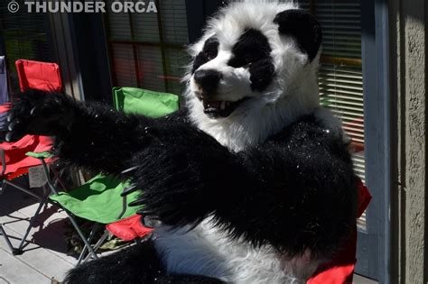My Panda Fursuit Part 3 — Weasyl