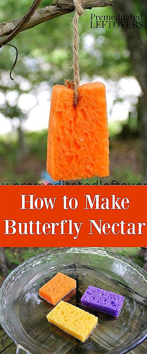 Heres How To Make Butterfly Nectar With Your Kids Make A Quick And