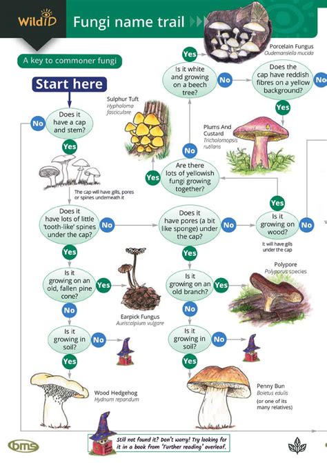 Fungi Name Trail Guide Field Studies Council