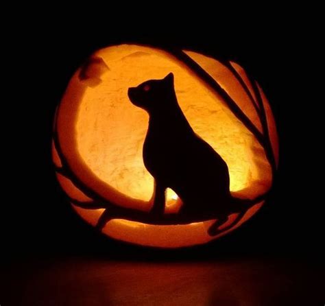 20 Cat Carving Pumpkin Patterns