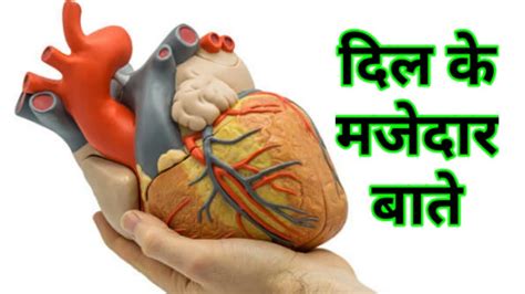 How To Care Heart From Home Remedies Youtube