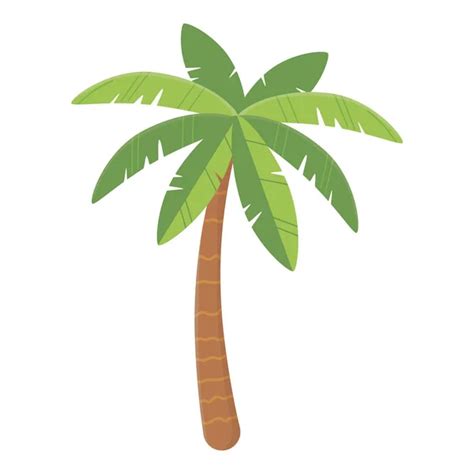 Vector Palm Png Palmeras Tropicales Dibujos Animados Aislado Sobre