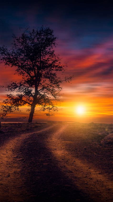 480x854 Beautiful Sunset On Dirt Road Android One Hd 4k Wallpapers