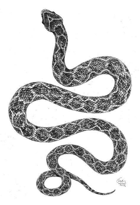 Snake Tattoo By Porceliandoll On Deviantart