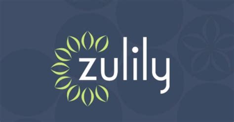 Zulily Shares Tumble 17 After Lowering Sales Outlook For The Year
