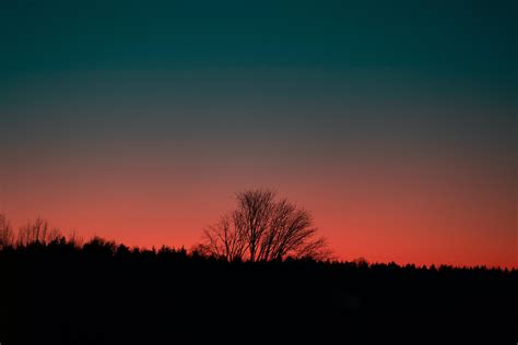 Wallpaper Tree Silhouette Dark Sunset Dusk Hd Widescreen High