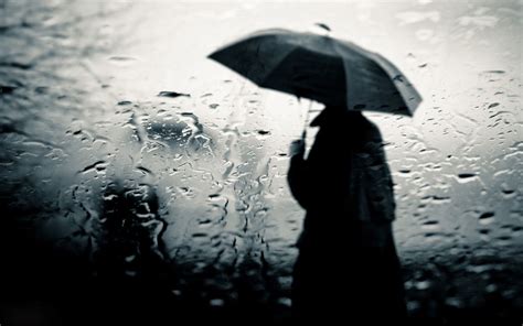 Rain Wallpaper 35 1920×1200 Trumpwallpapers