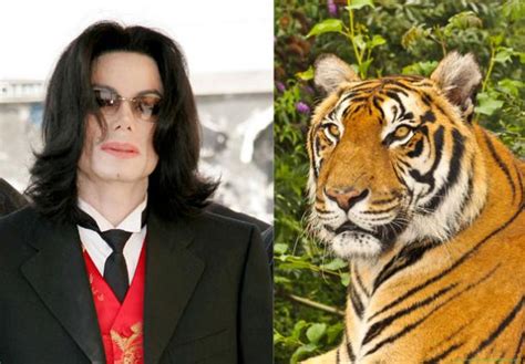 24 Chronic News Michael Jackson Tiger