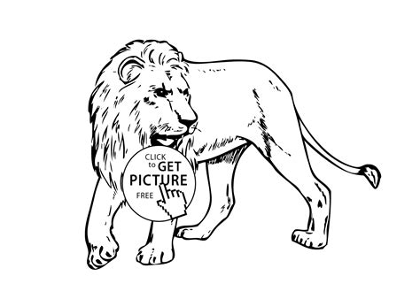 Top lion drawing black and white vector images free vector. Lion real animals coloring pages for kids, printable free ...