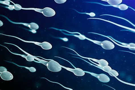Signs Of Healthy Sperm Sneakpeek