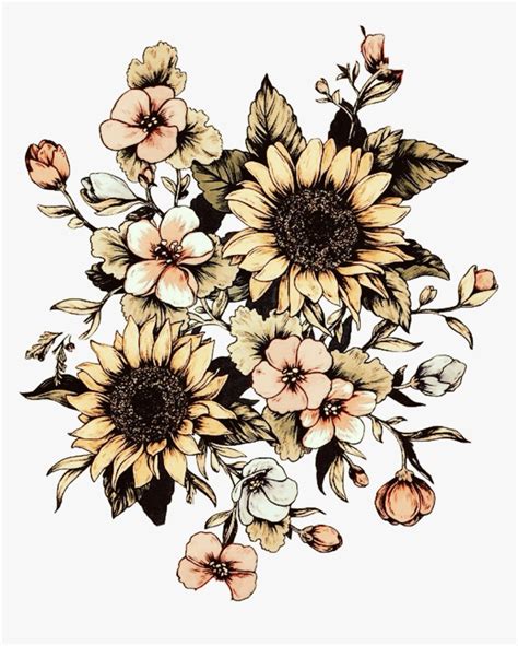 Vintage Sunflower Drawing